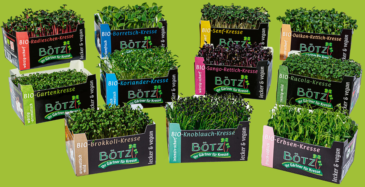 Boetz-BIO-Kresse-Alle-Kressen